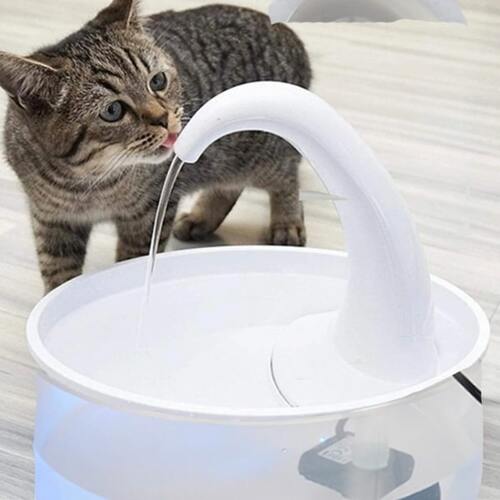 Fontaine à boire pour chat